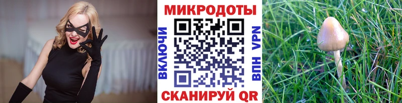 Галлюциногенные грибы прущие грибы  продажа наркотиков  Партизанск 